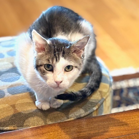 Cloud — thumbnail 4