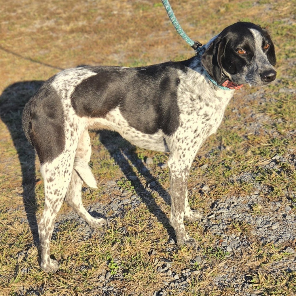 Asher, photo 3