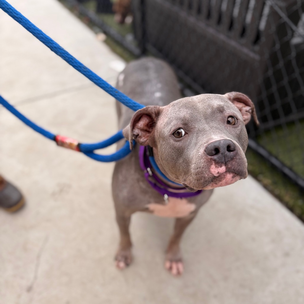 Jordan — thumbnail 3