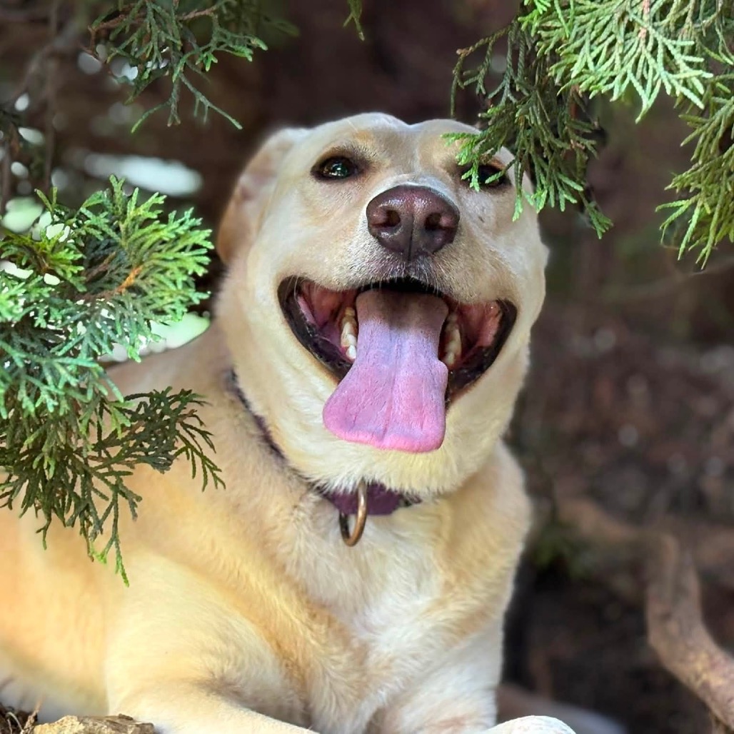 Butter, photo 33