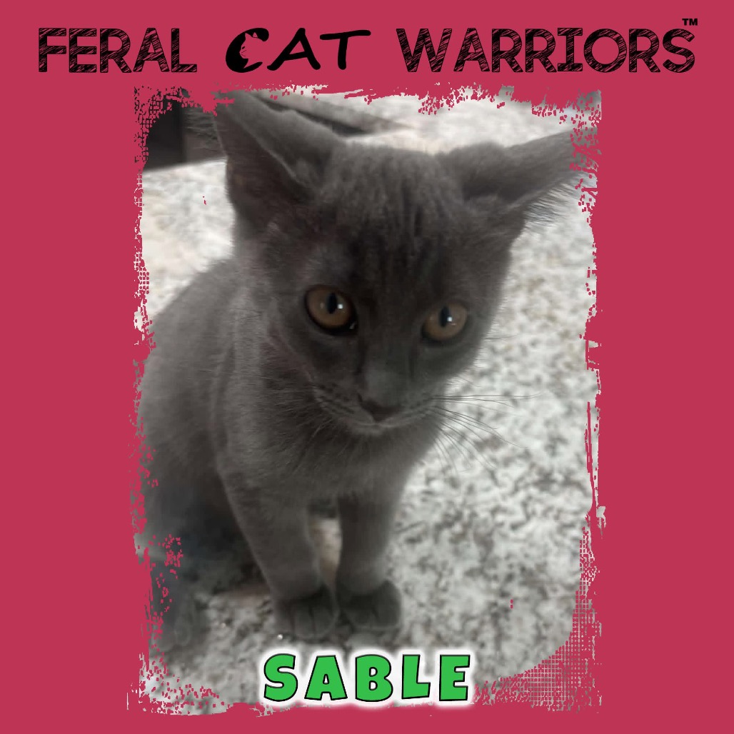Sable MG