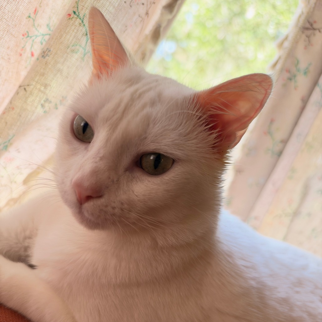 Casper, photo 3