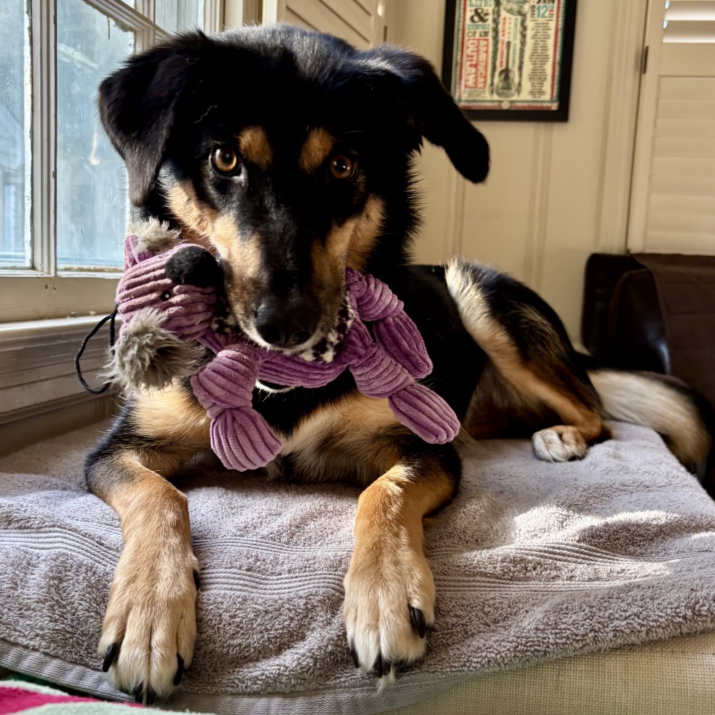 Harlow, photo 9