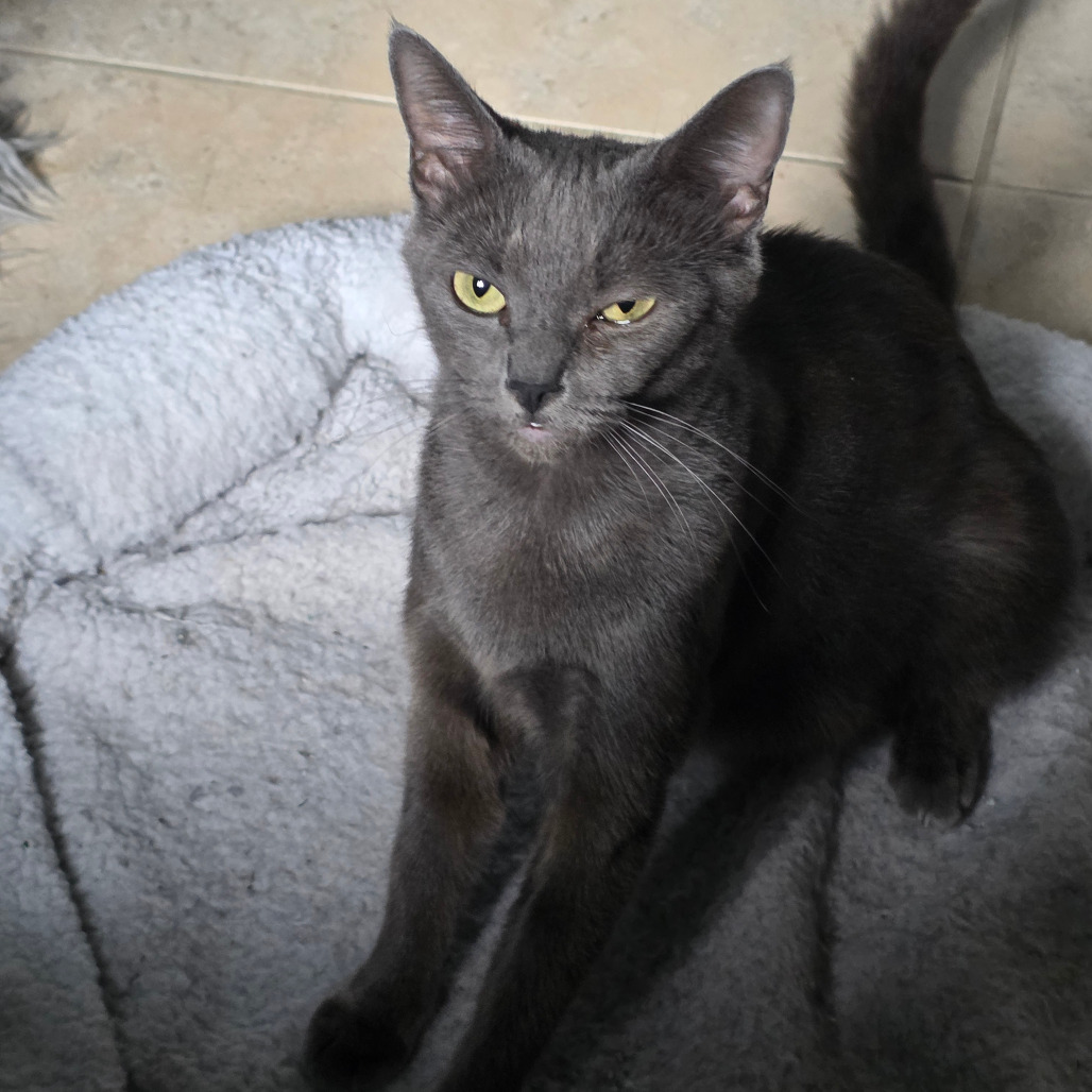 Sasha, photo 2
