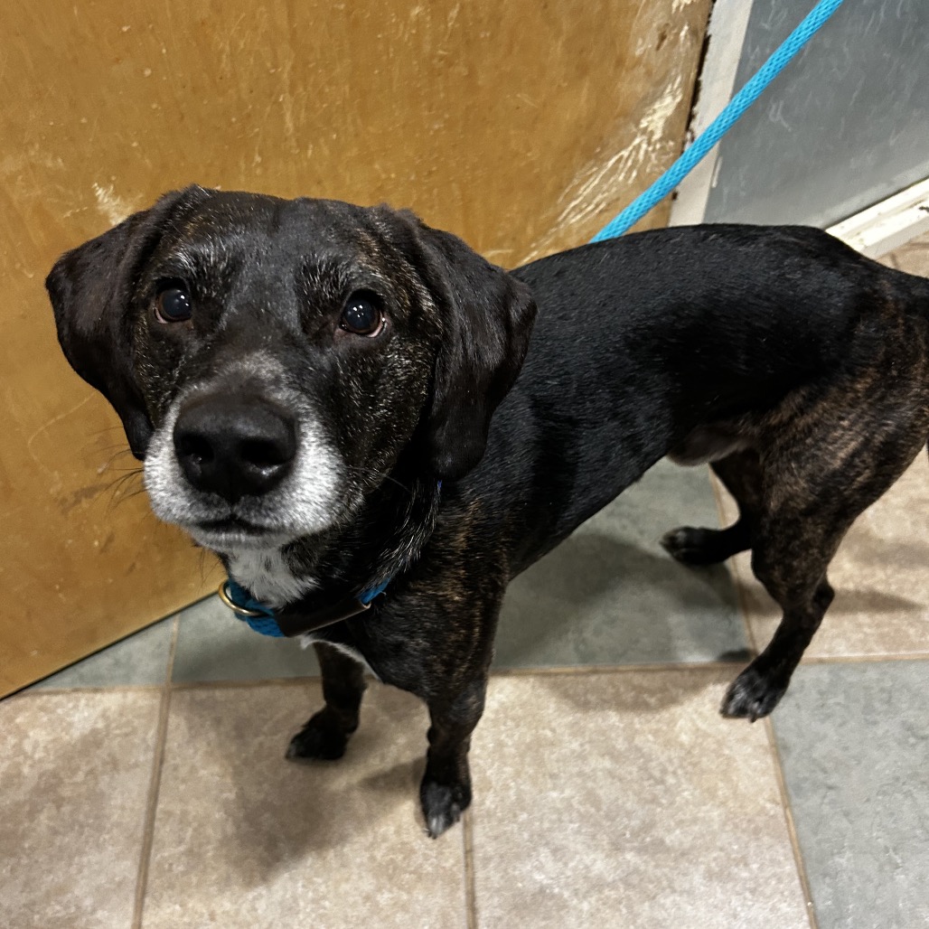 Derrick — thumbnail 2