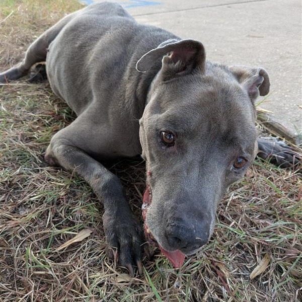 Brooklyn — thumbnail 2