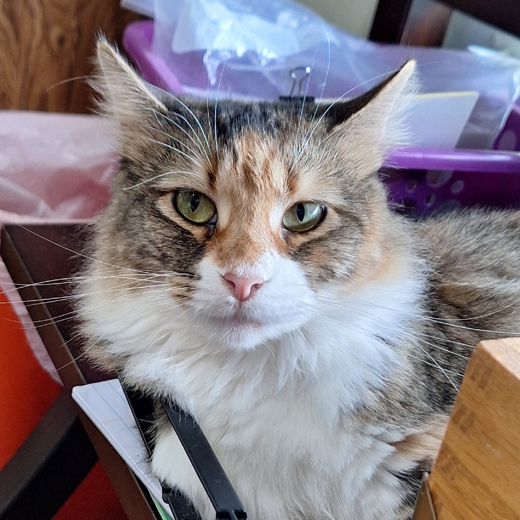 Fiona