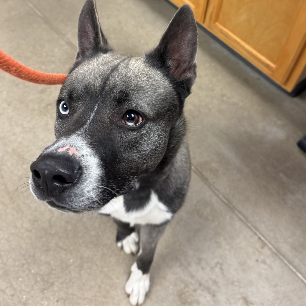 5c939d1409e52f3d4ecdbcf97756b3dc