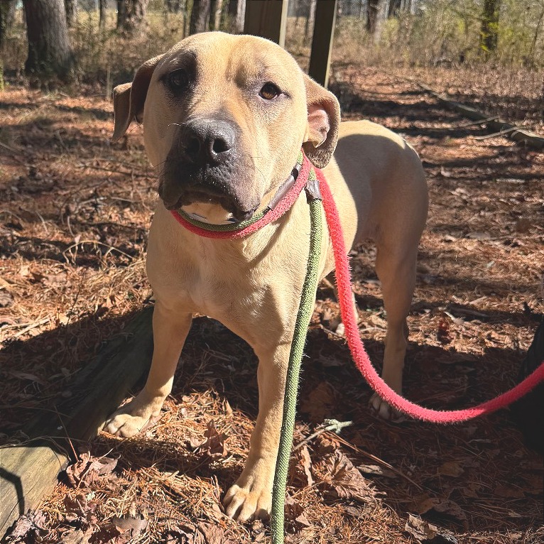 Samwise — thumbnail 9