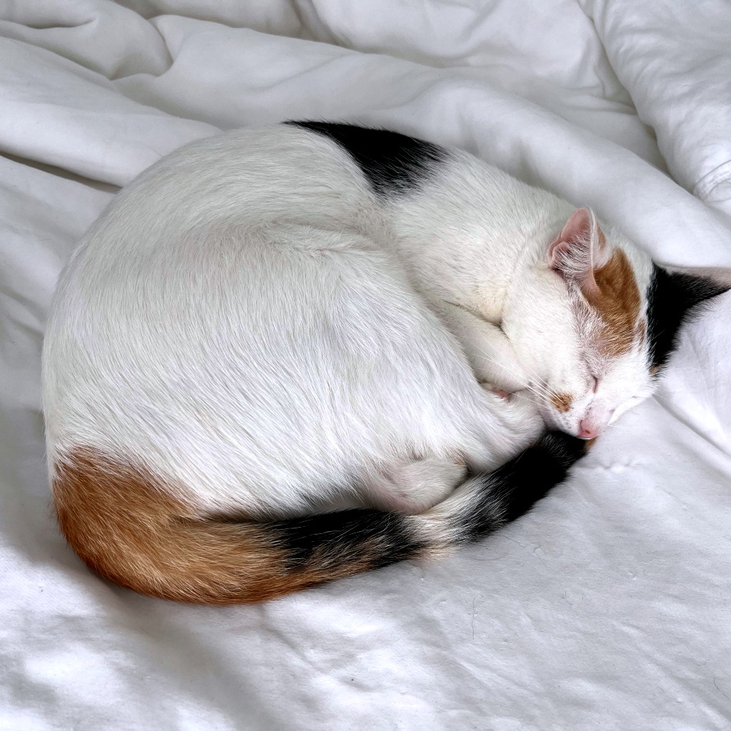 Samantha — thumbnail 11