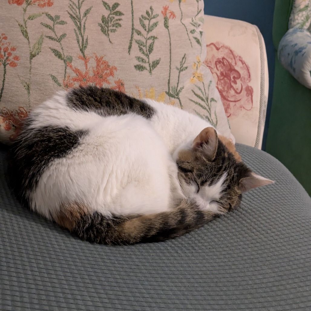 Confetti — thumbnail 8