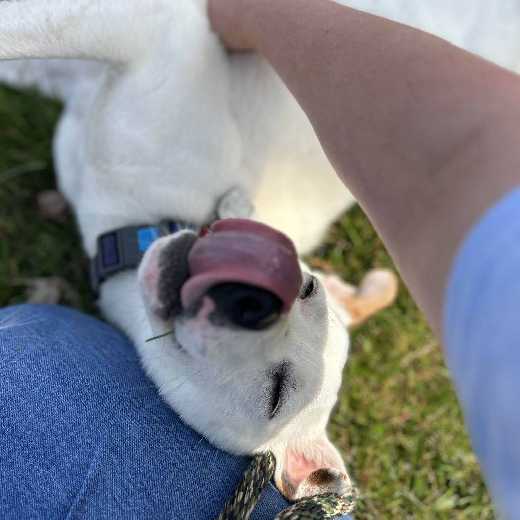 Little Lady — thumbnail 11