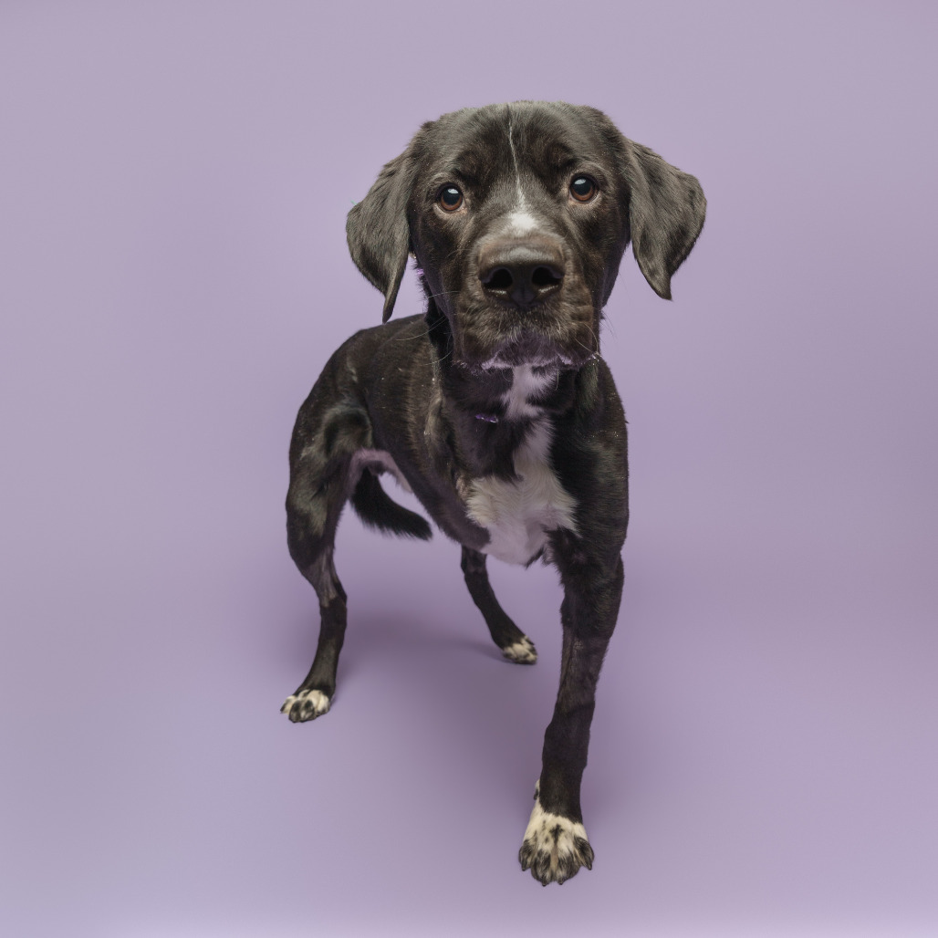 Photo of T.L. Frank 11