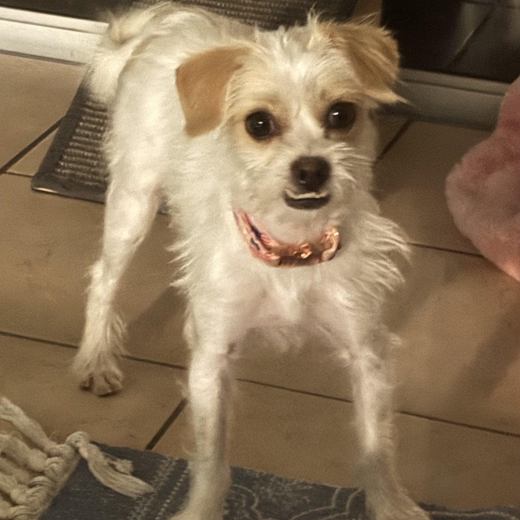 Full body shot of Mookie