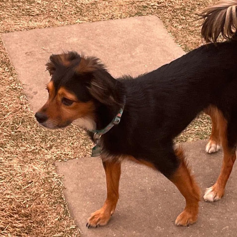 Photo of Zoe
