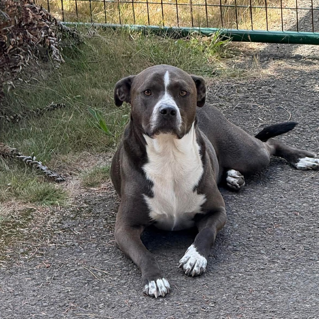 Alex — thumbnail 2