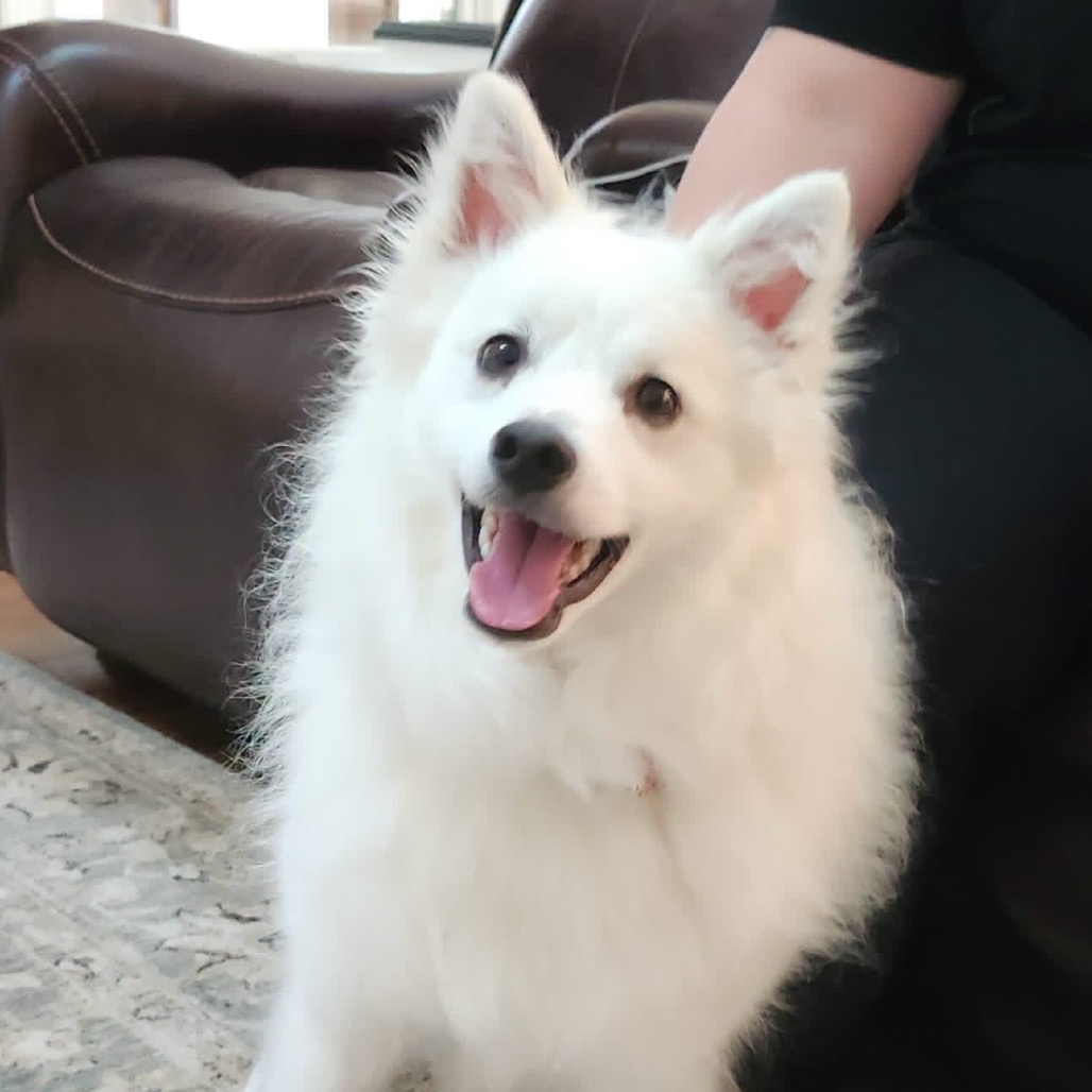 Kumo, photo 9 of 9