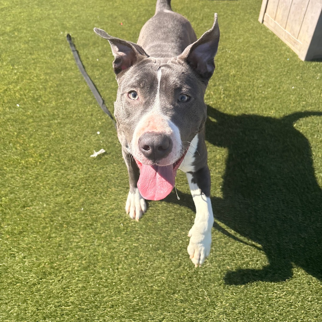 Bubbaley — thumbnail 3