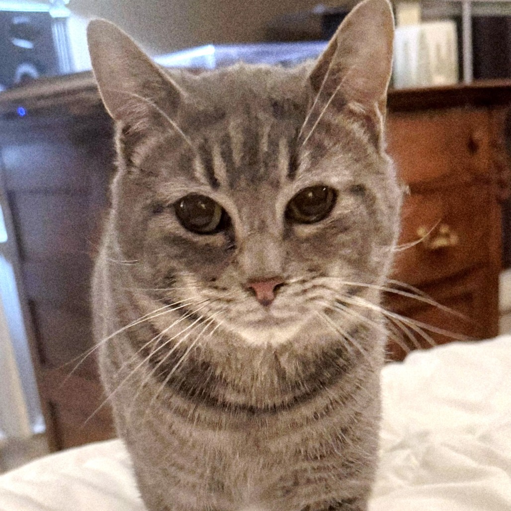 John Mayer — thumbnail 5