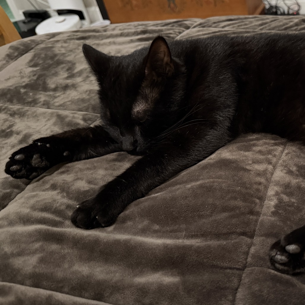 Haiku — thumbnail 5