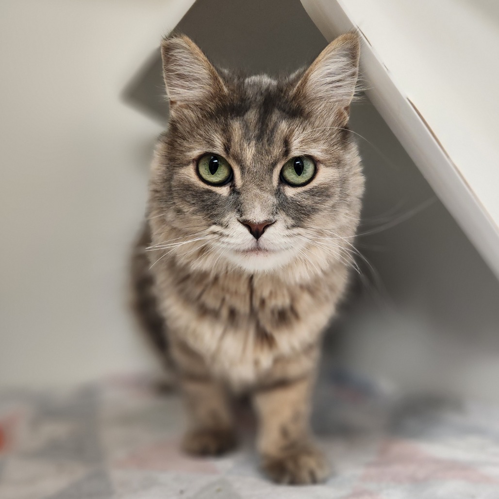 Delilah Delilah
