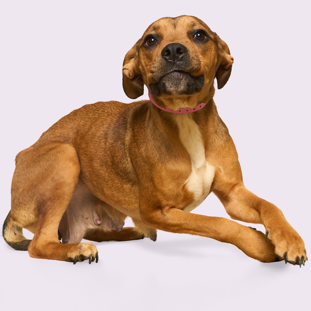 Debra — thumbnail 9