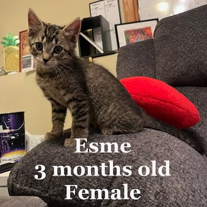 Esme C12415