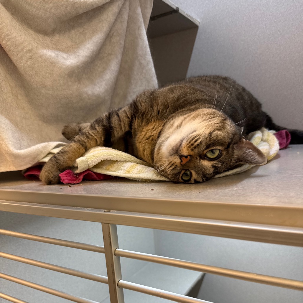 Photo of Phoebe 5
