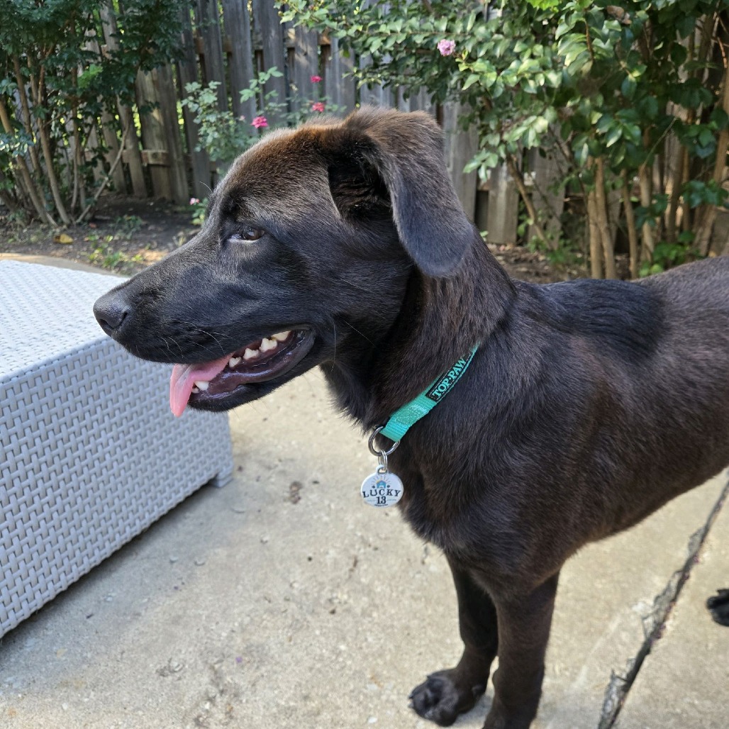 Brooks, photo 2