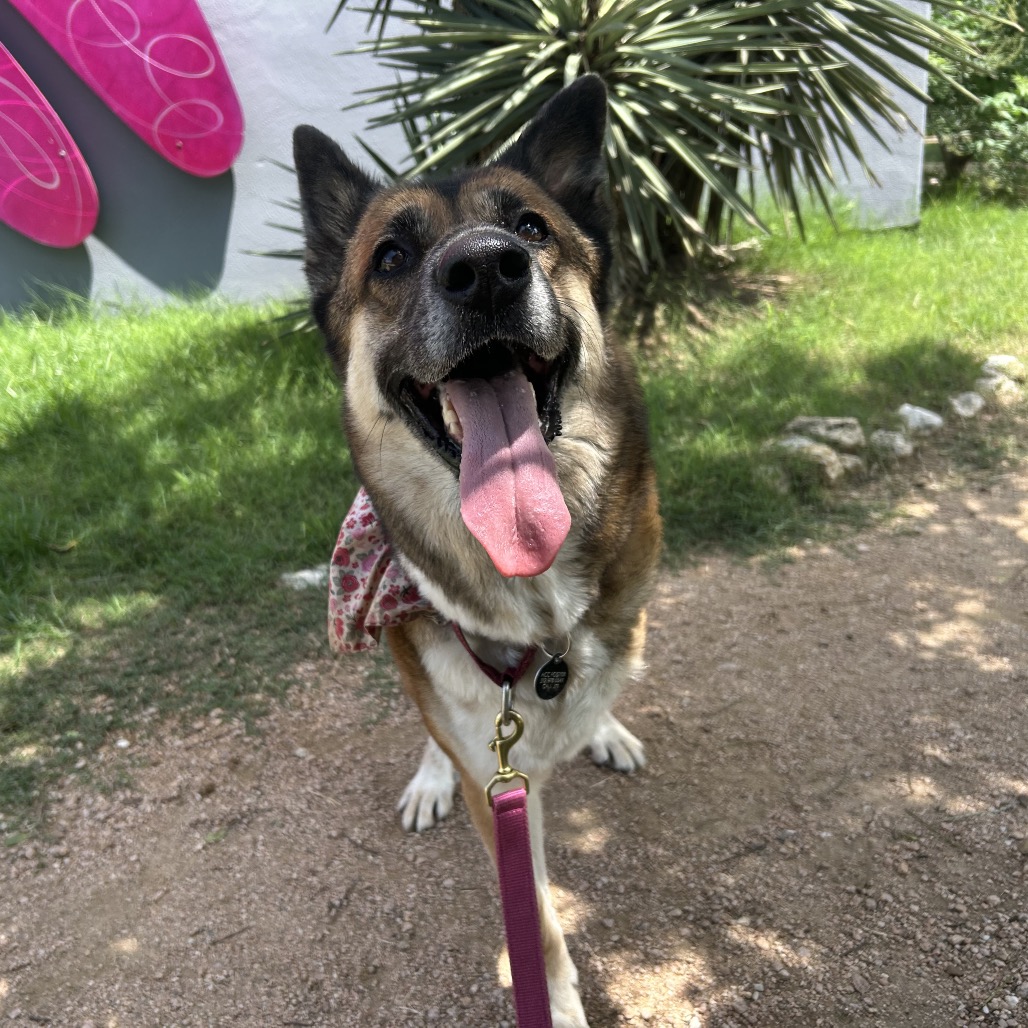 Cheyenne, additional photo