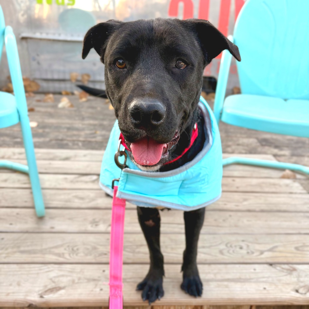 Celebrity Sighting — thumbnail 9