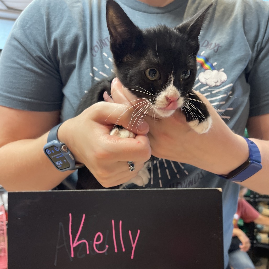 Kelly