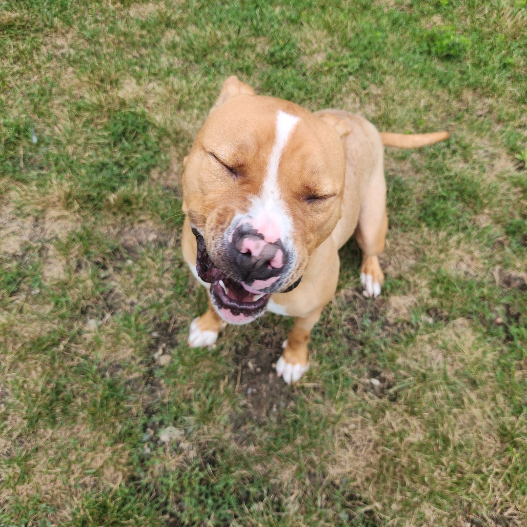 Milo