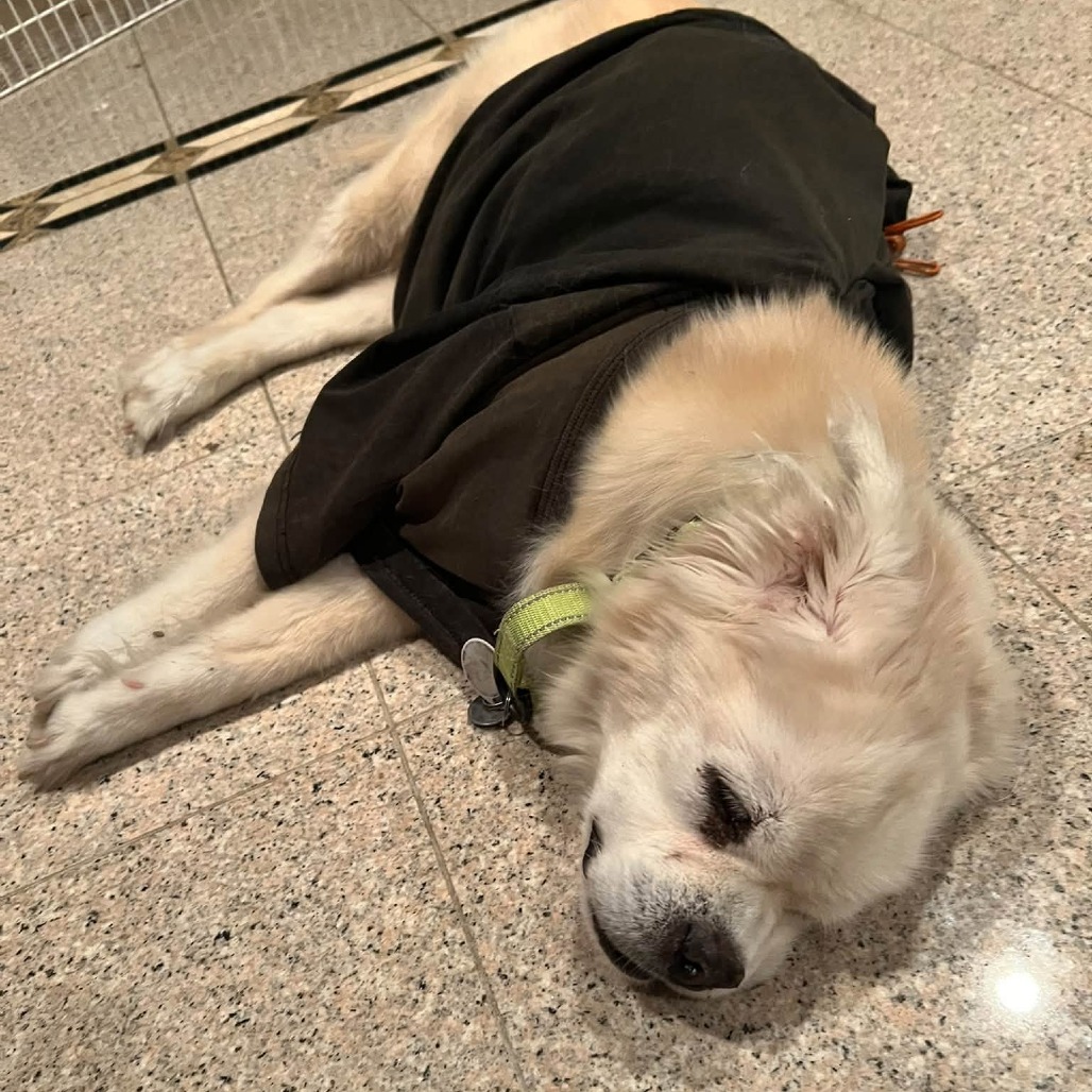 Rosco Rue, photo 11