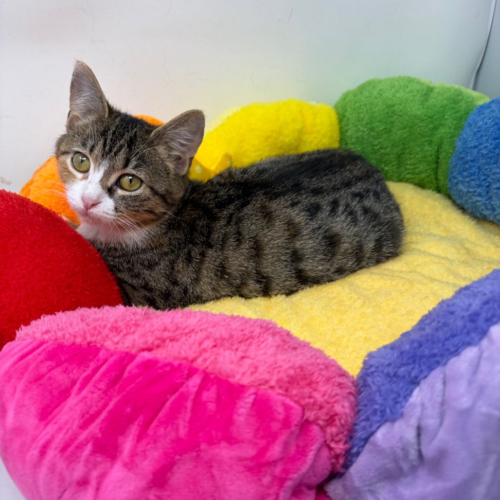 Anna — thumbnail 3