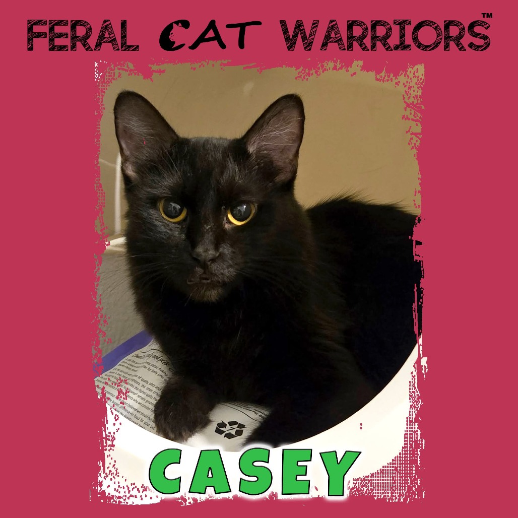 Casey