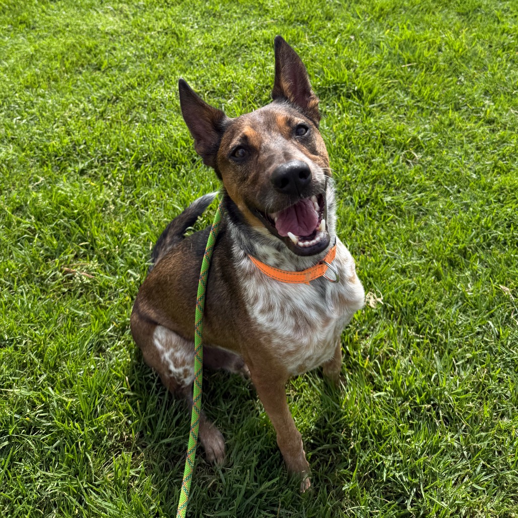 Cash, photo 14