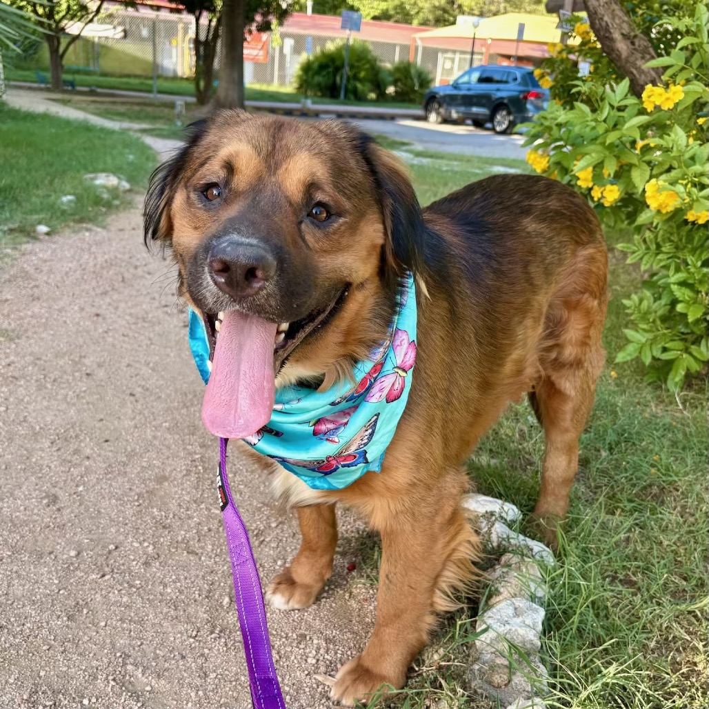 Lane — thumbnail 6