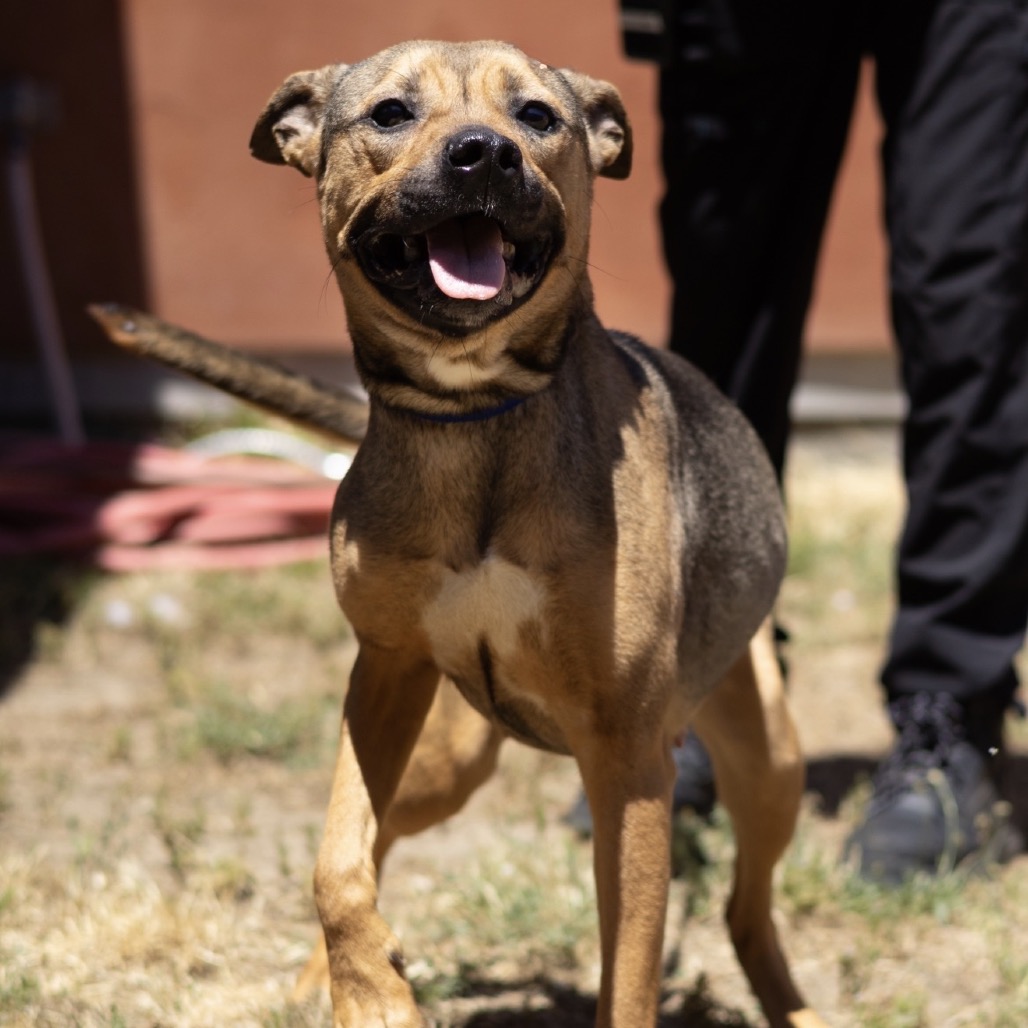 Kennel#22 Aurora's preview photo