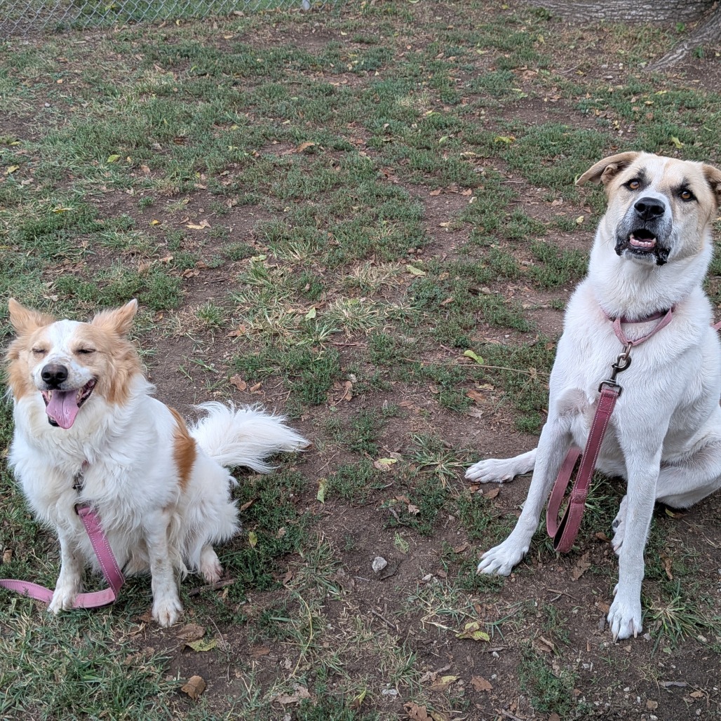 Sandy photo 39