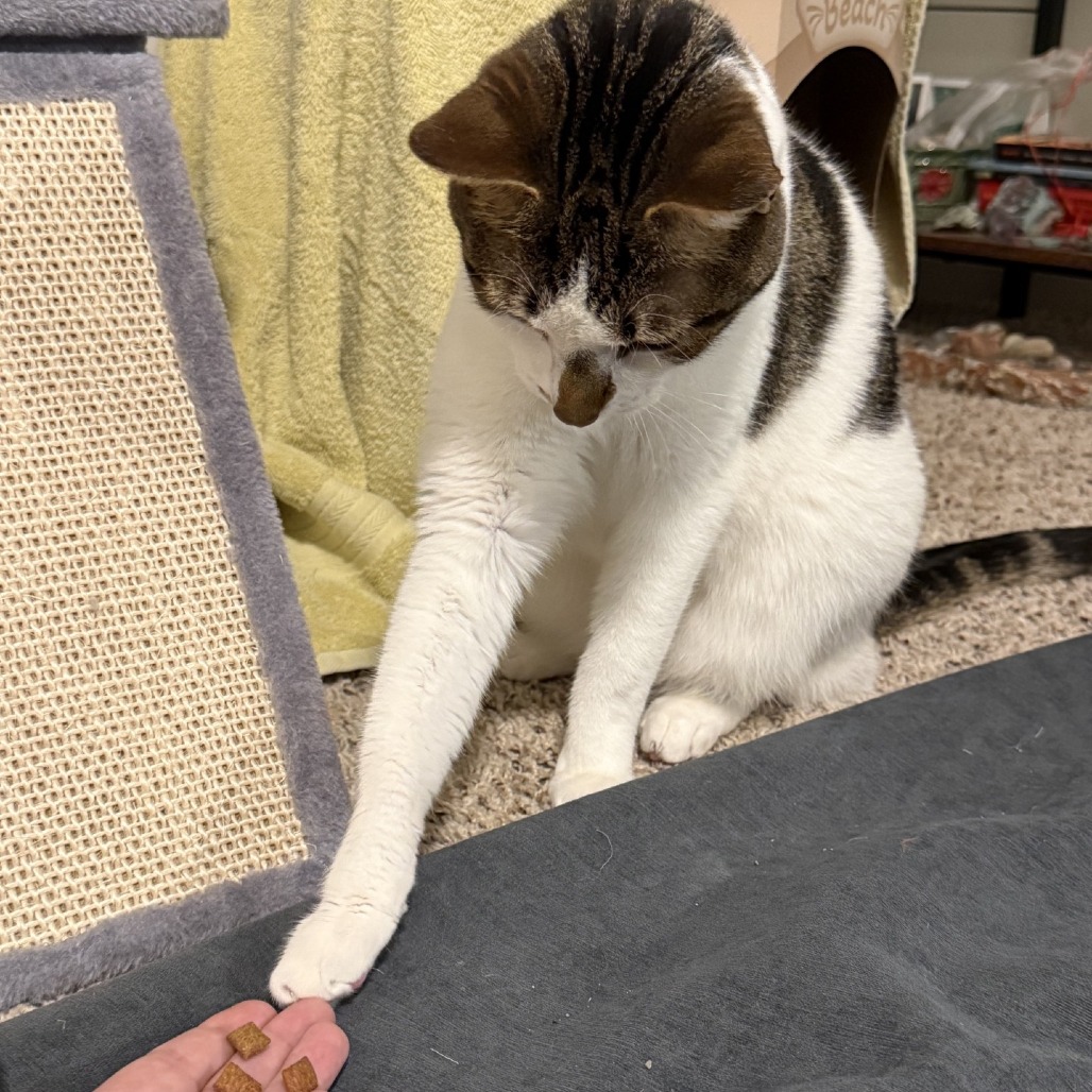 Karma-Foster, photo 3