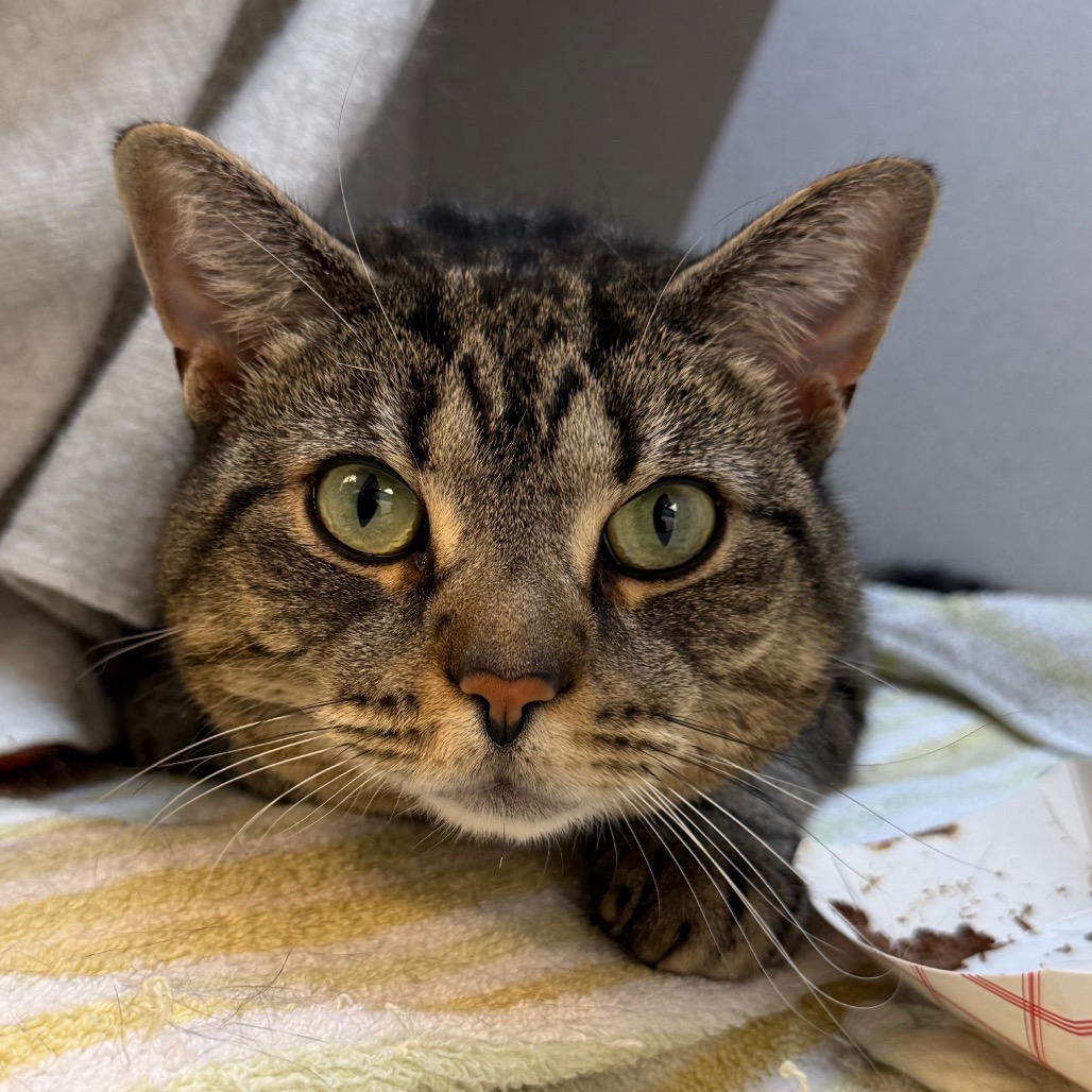 Photo of Phoebe 11