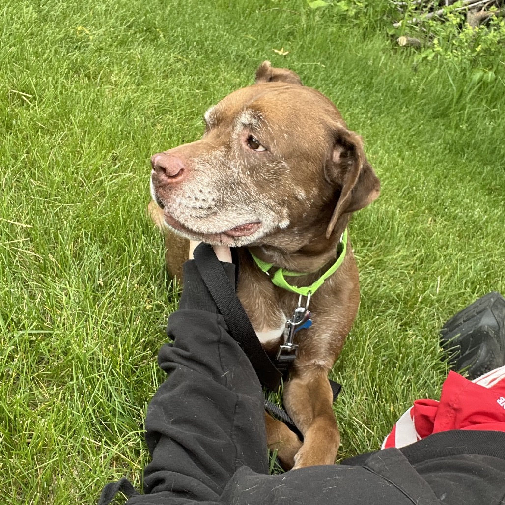 Butch, photo 14