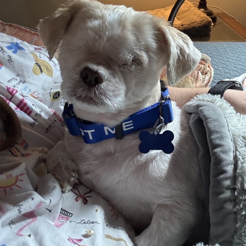 9019a50703317b140de3e365fa832c15