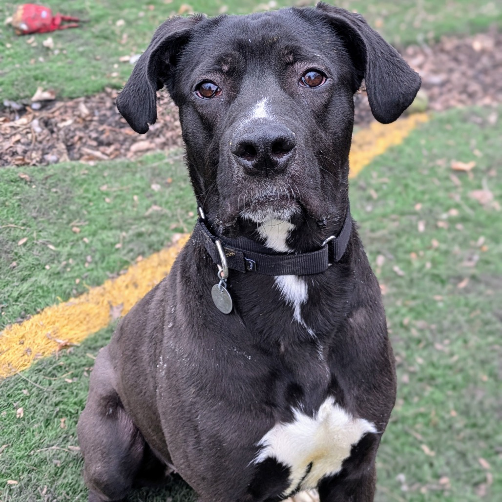 Lilo — thumbnail 4