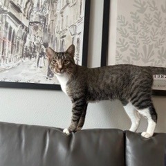 Cocoon--In Foster, photo 20