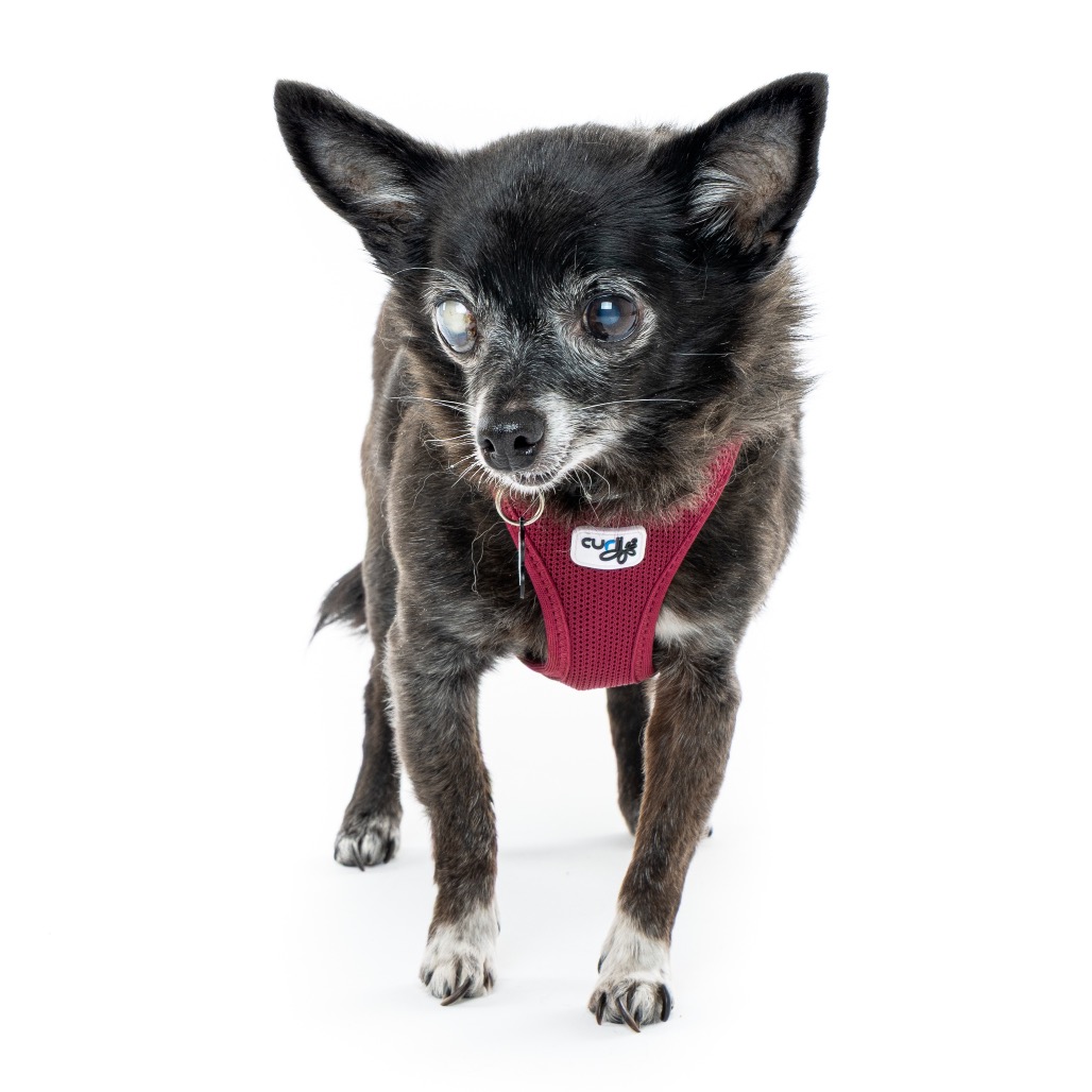 Sharpie 12087 — thumbnail 5