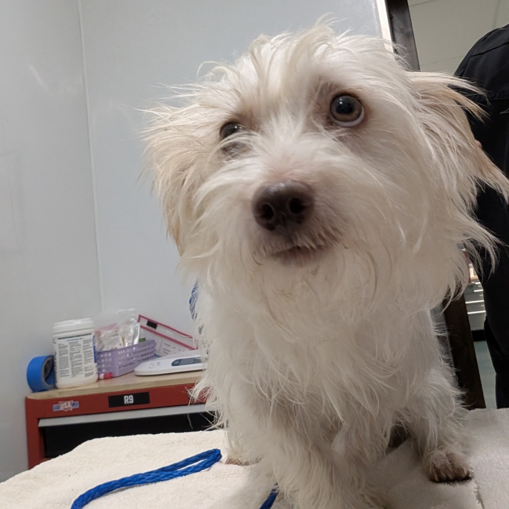 Darwin — thumbnail 2