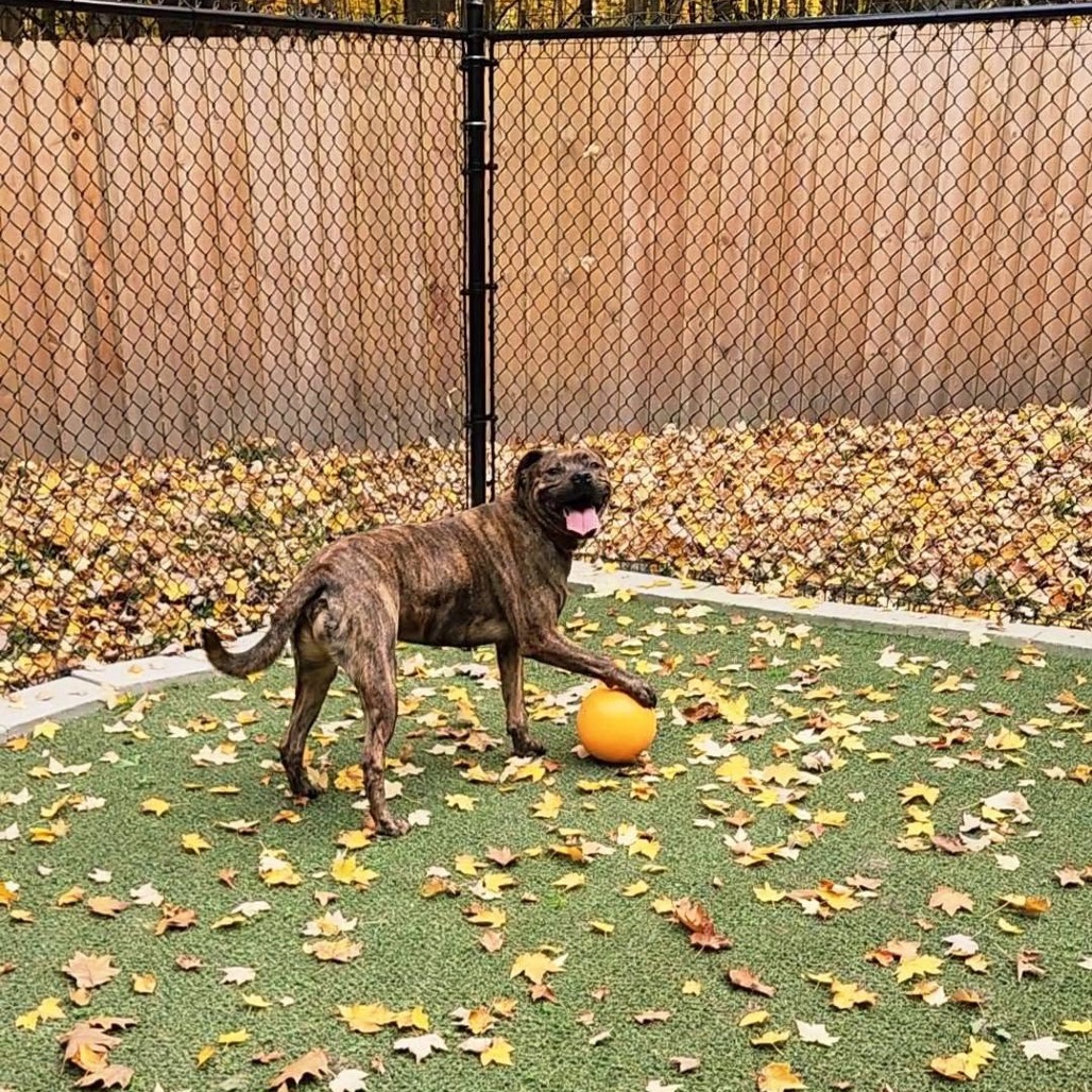 Spike-Foster, photo 32