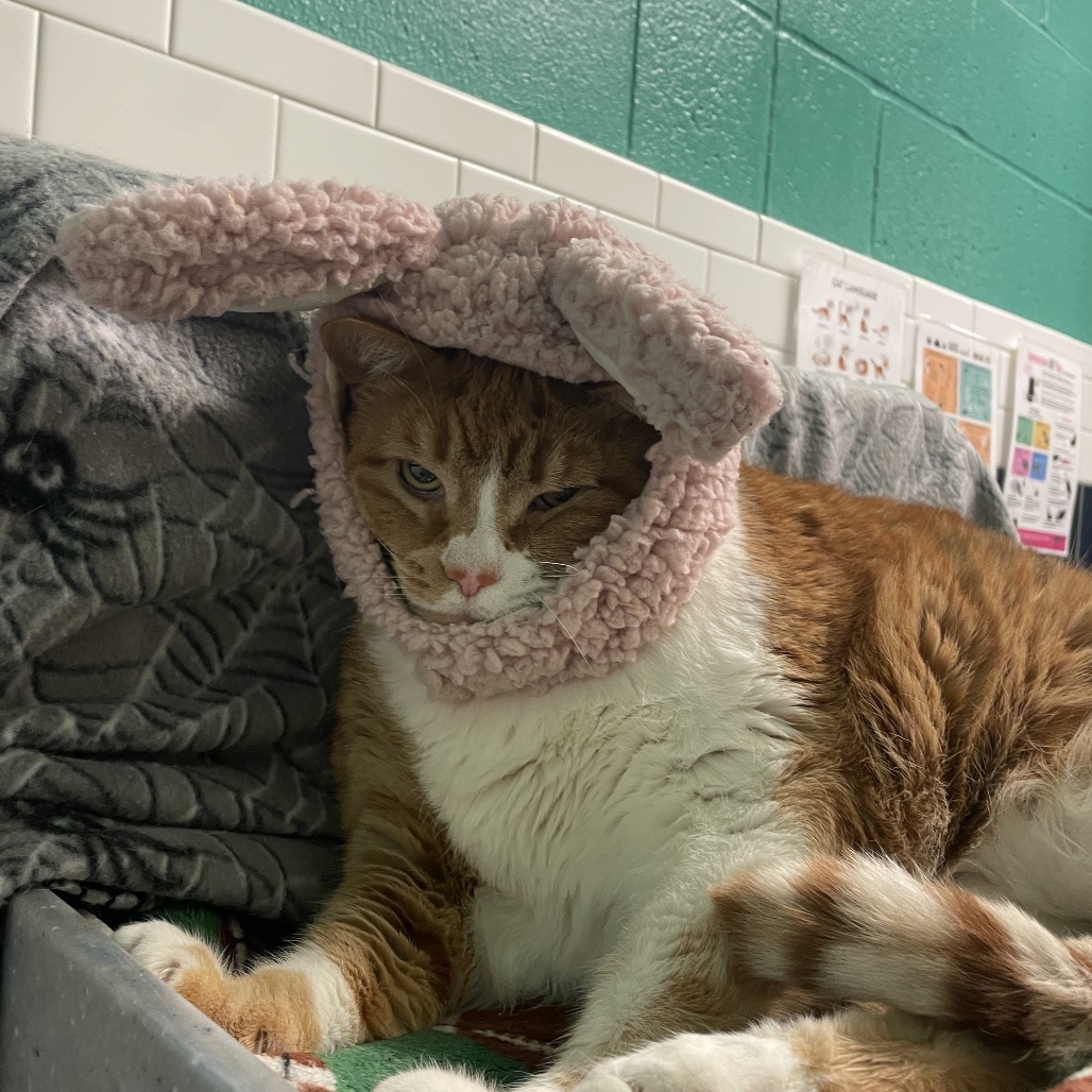 Photo of Freddy and QZ 21